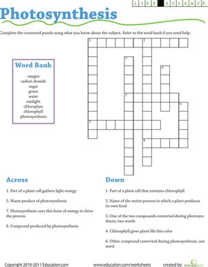 topic crossword clue|Topic